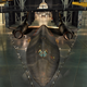 Illustration for article titled Youll Swear The Ground Shook After Watching This Heavy SR-71 Departure